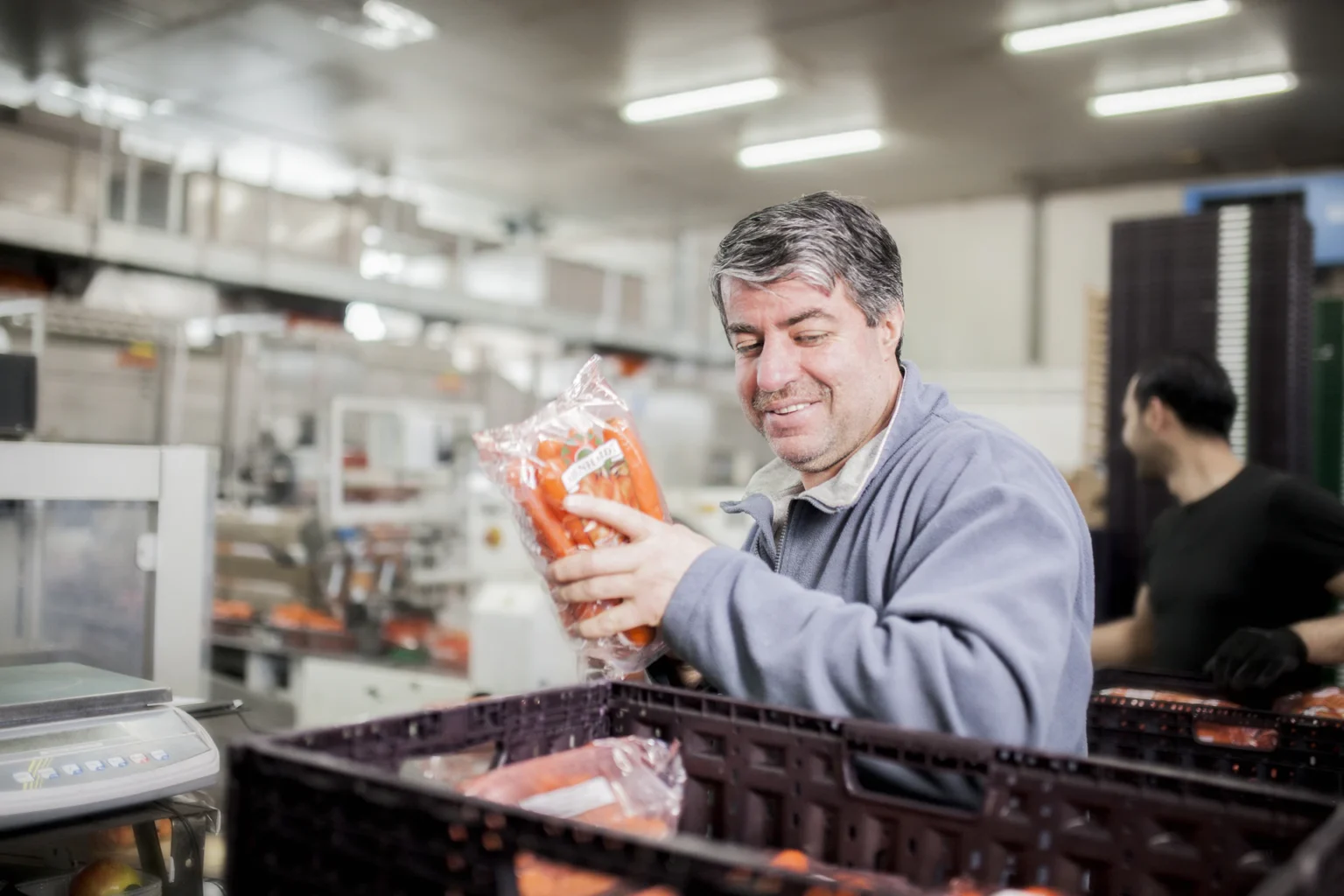 Foto: Mitarbeiter legt verpackte Möhren in Großgebindekisten (© Ernährung-NRW e. V.)